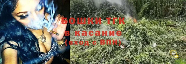 ГАЛЛЮЦИНОГЕННЫЕ ГРИБЫ Балахна
