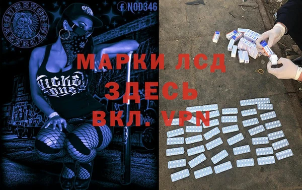 ГАЛЛЮЦИНОГЕННЫЕ ГРИБЫ Балахна