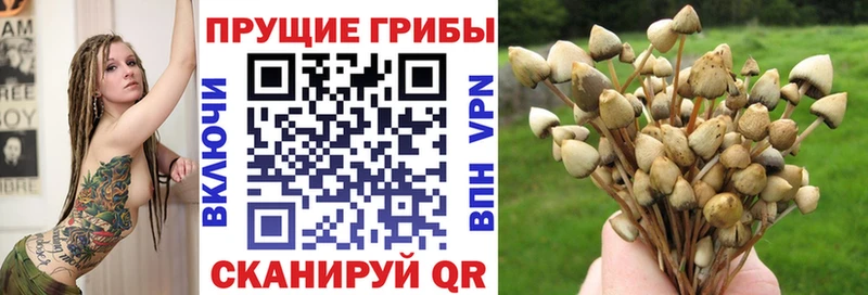Галлюциногенные грибы ЛСД  Купить  Билибино 