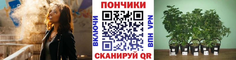 Бошки Шишки THC 21%  Купить  Билибино 